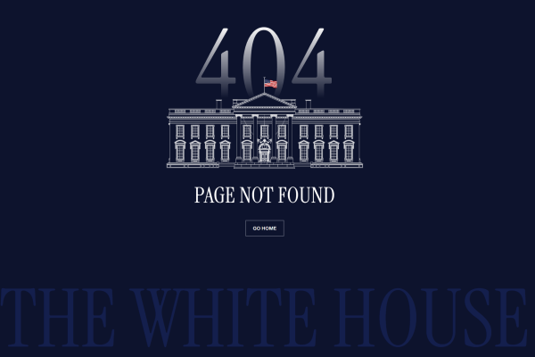 Trump Proposes Executive Order to Centralize AI Regulation and Restrict State-Level Laws