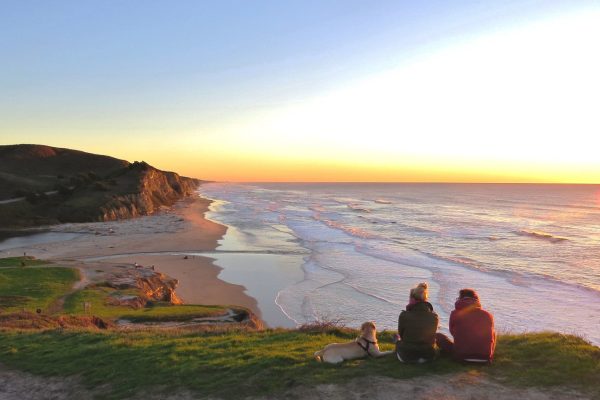 IBM Identifies Agentic AI, Data Governance, and Quantum Computing as Key Trends for 2026