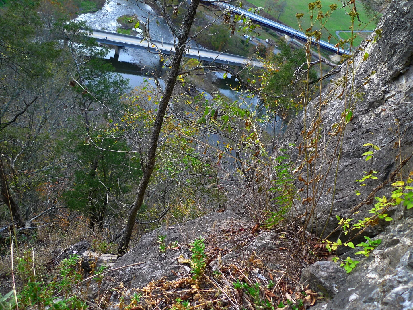 Indian IT Giants Deploy Over 200,000 Microsoft Copilot Licenses to Boost AI Adoption