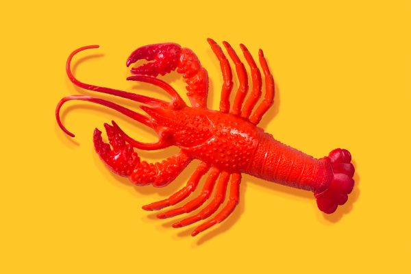 Experts Remain Skeptical About OpenClaw AI Despite Initial Hype