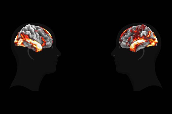 Meta Develops AI Model That Accurately Predicts Brain Responses to Images, Sounds, and Speech