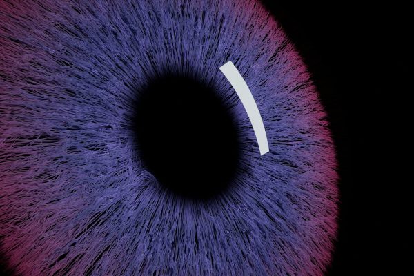 Family Offices Embrace AI to Enhance Financial Data Analysis, Reveals Ocorian Study