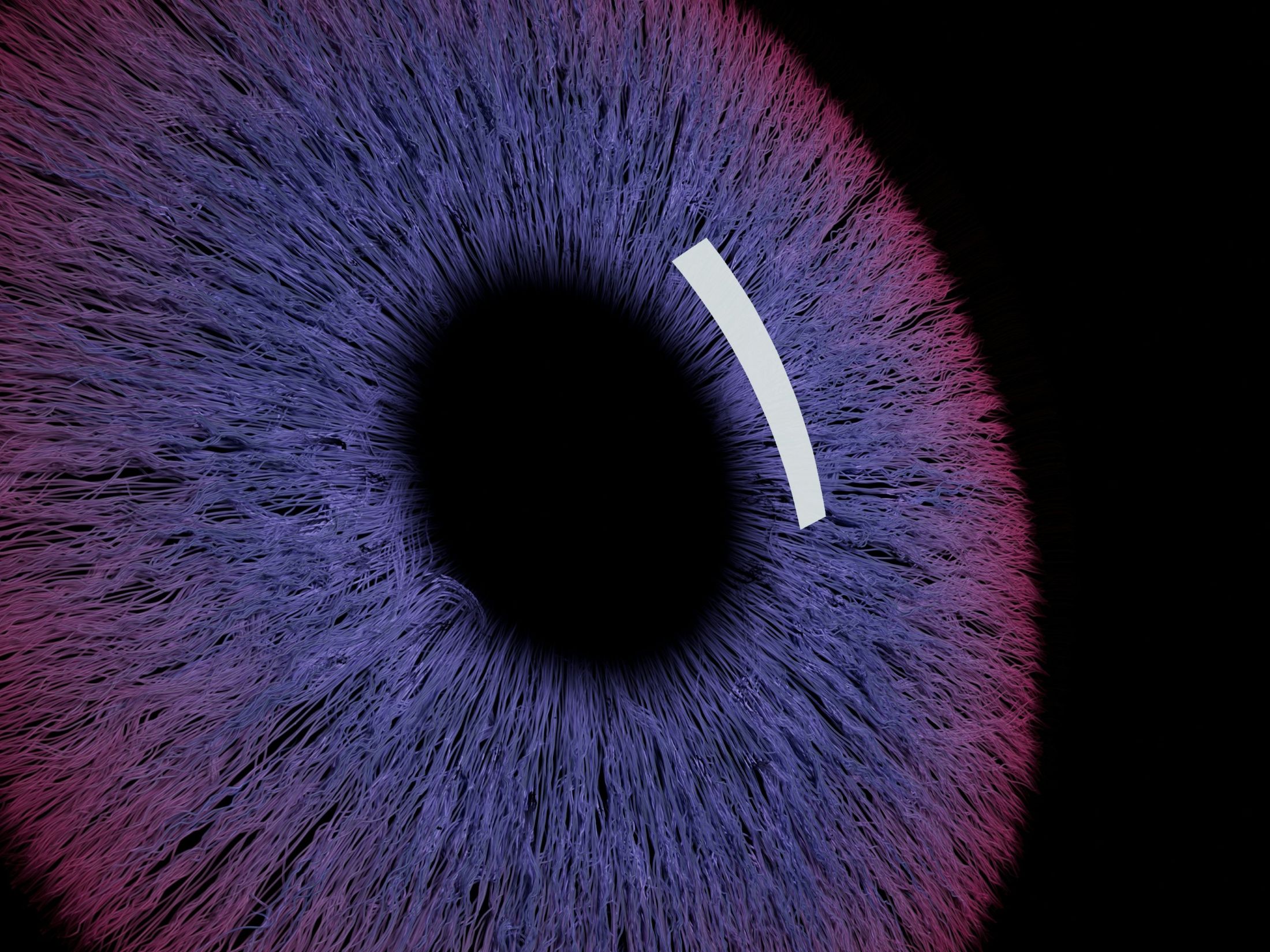 Family Offices Embrace AI to Enhance Financial Data Analysis, Reveals Ocorian Study