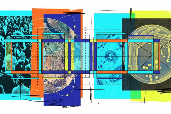 Count Anything model - Count Anything AI Model Sets New Benchmark in Visual Object Counting